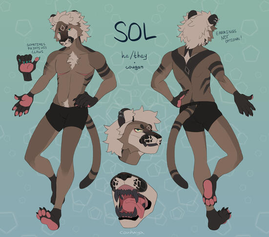 Sol reference!